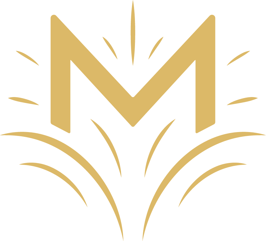 VisualizeU logo